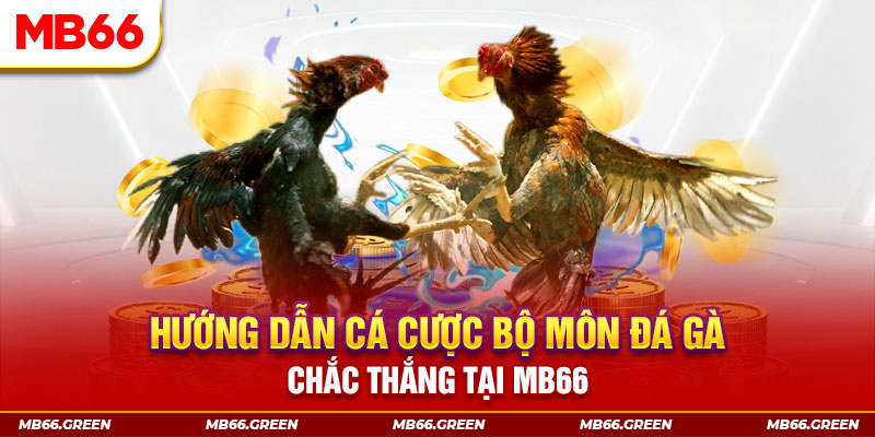 k12 online CQ9 Điện Tử