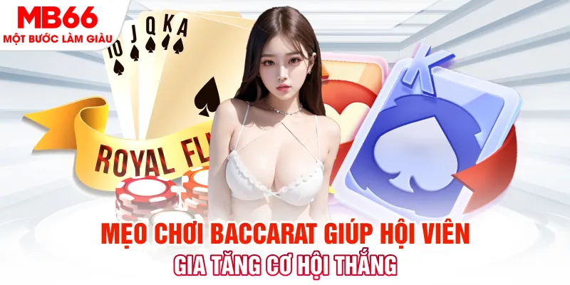 k12 online đá gà 88