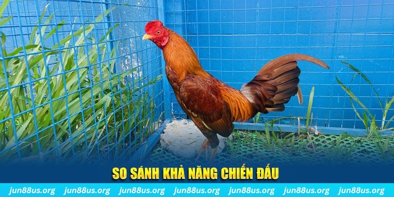 k12 online xổ số tiền giang