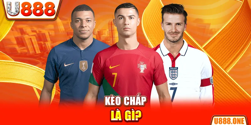 k12 online chổi lông gà