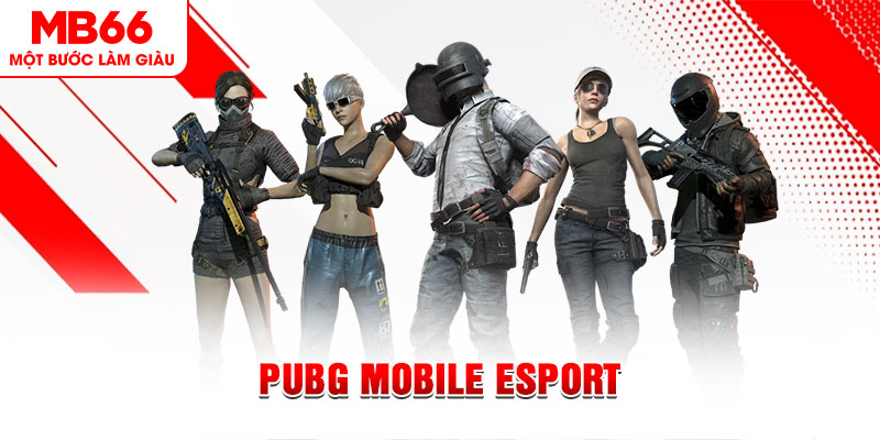 k12 online xổ số minh ngọc – miền nam