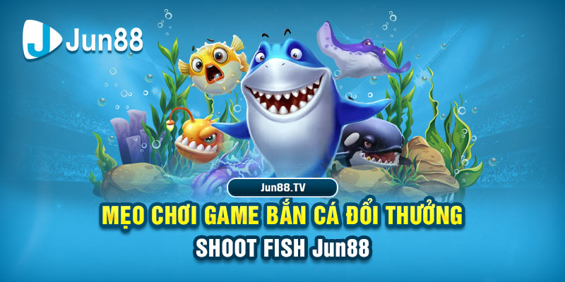 k12 online tai game danh bai bigkool ve may tinh