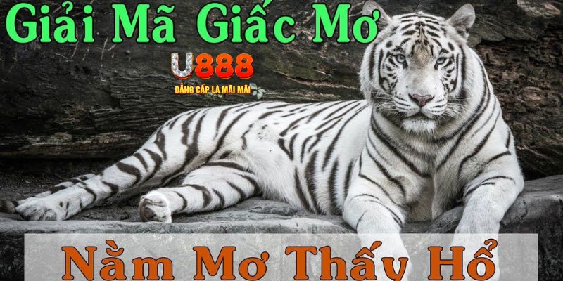 k12 online xổ số kiến thiết miền bắc