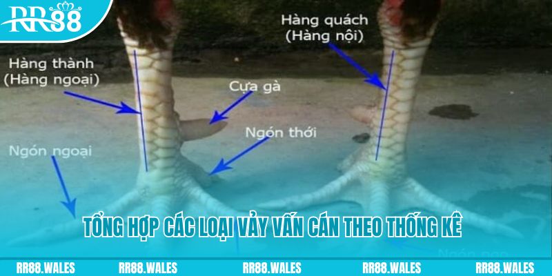 k12 online nổ hũ chơi như thế nào