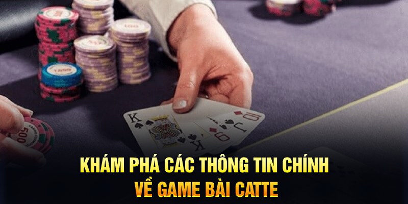 Trăm người Bo tám Bo chín
