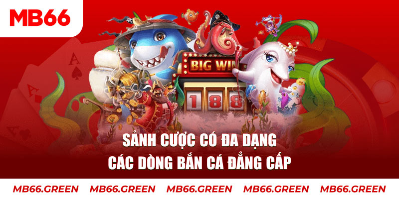 k12 online bắn cá