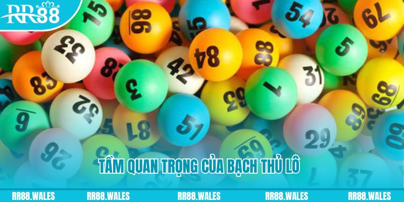 k12 online đá gà trực tiếp casino