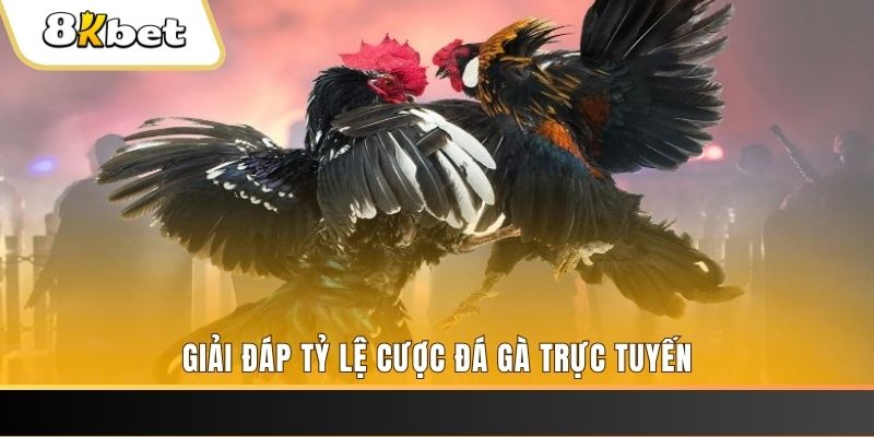 k12 online xổ số ba đài