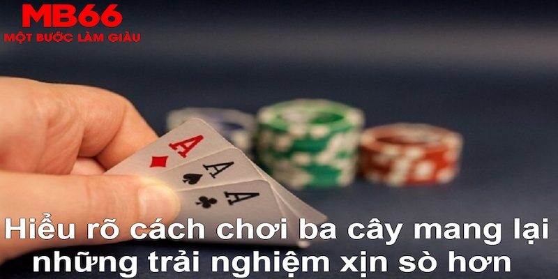 k12 online ÁT CHỦ BÀI GIÀNH LẤY ZHUANG NIUNIU ( XEM 3 LÁ )
