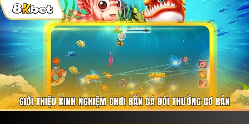 k12 online 8 bí ẩn chơi nổ hũ ít ai biết