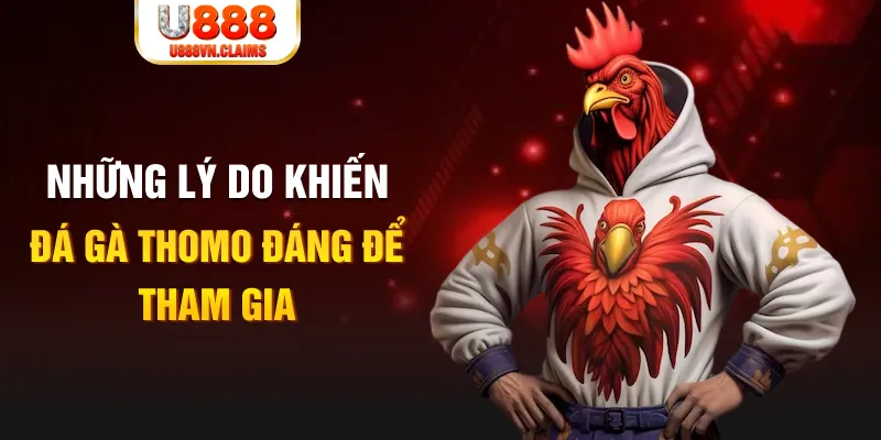 k12 online nỗ hũ là gì
