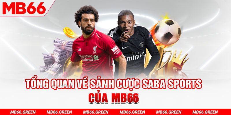 k12 online slot có nghĩa là gì