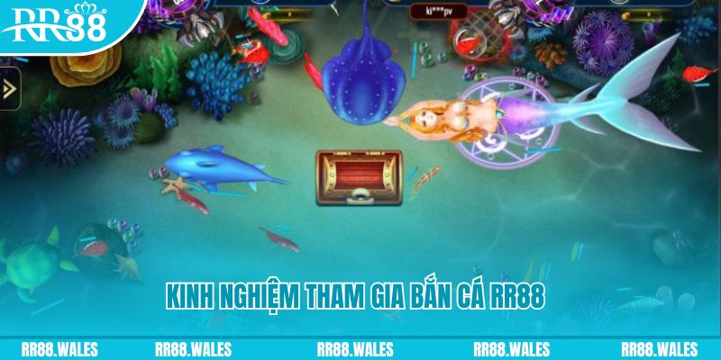 k12 online một slot là gì