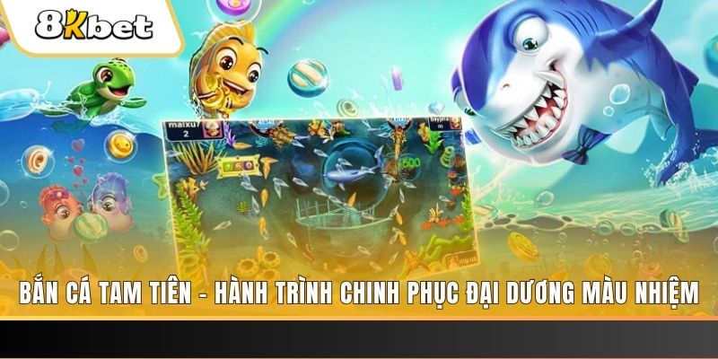 k12 online đá gà hôm nay