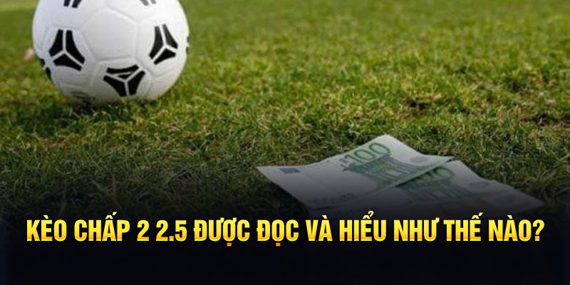 k12 online đá gà thomo