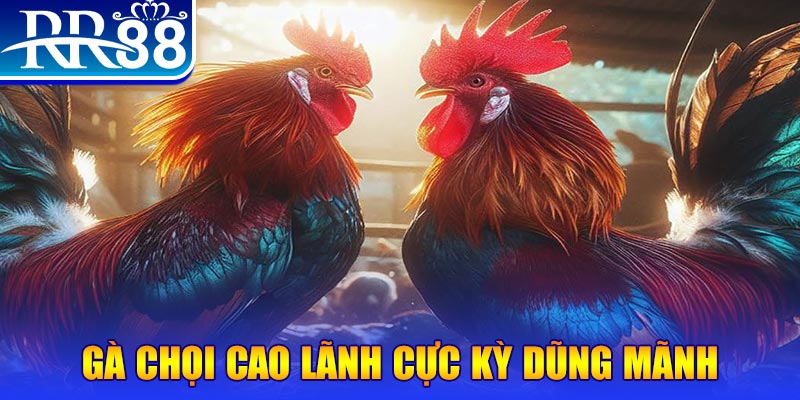 k12 online natural” trong baccarat nghĩa là gì？